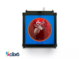 Double-Faced Box view 1