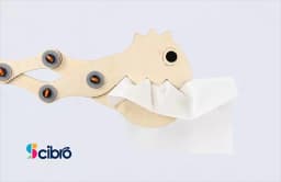 Dragon's mouth view 4