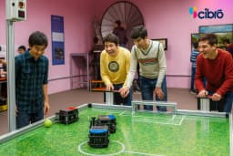 Robotic Soccer view 1