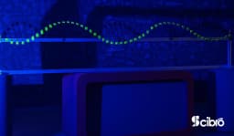 Transverse Standing Wave Machine view 2