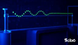 Transverse Standing Wave Machine view 1