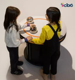 Body Electric Conductivity Display view 3