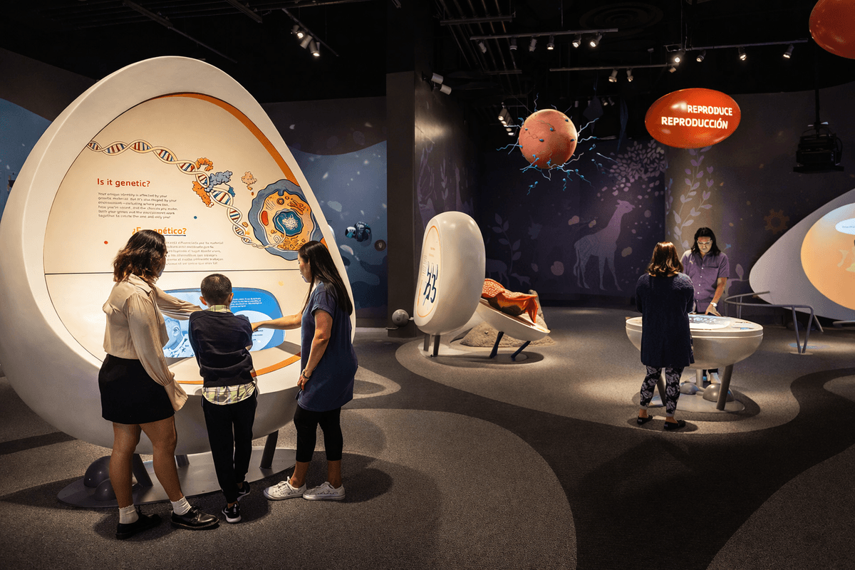 Science Park Equipment & Interactive Science Exhibits | Scibro